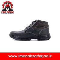پوتین ایمنی رخش