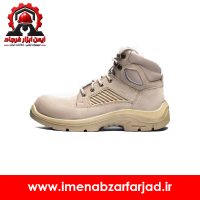 پوتین ایمنی رینو