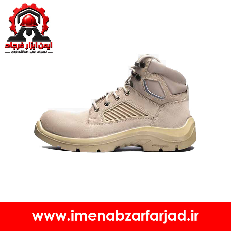 پوتین ایمنی رینو